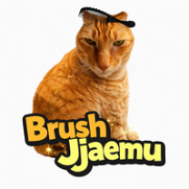 Brush Jjaemu img
